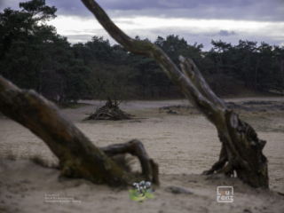 Zee in zicht - een fotoproject langs 0 NAP - dag1 - lourenz.nl