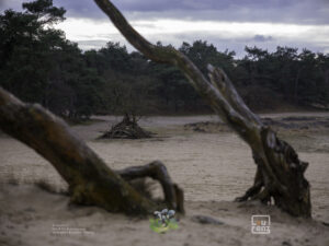 Zee in zicht - een fotoproject langs 0 NAP - dag1 - lourenz.nl