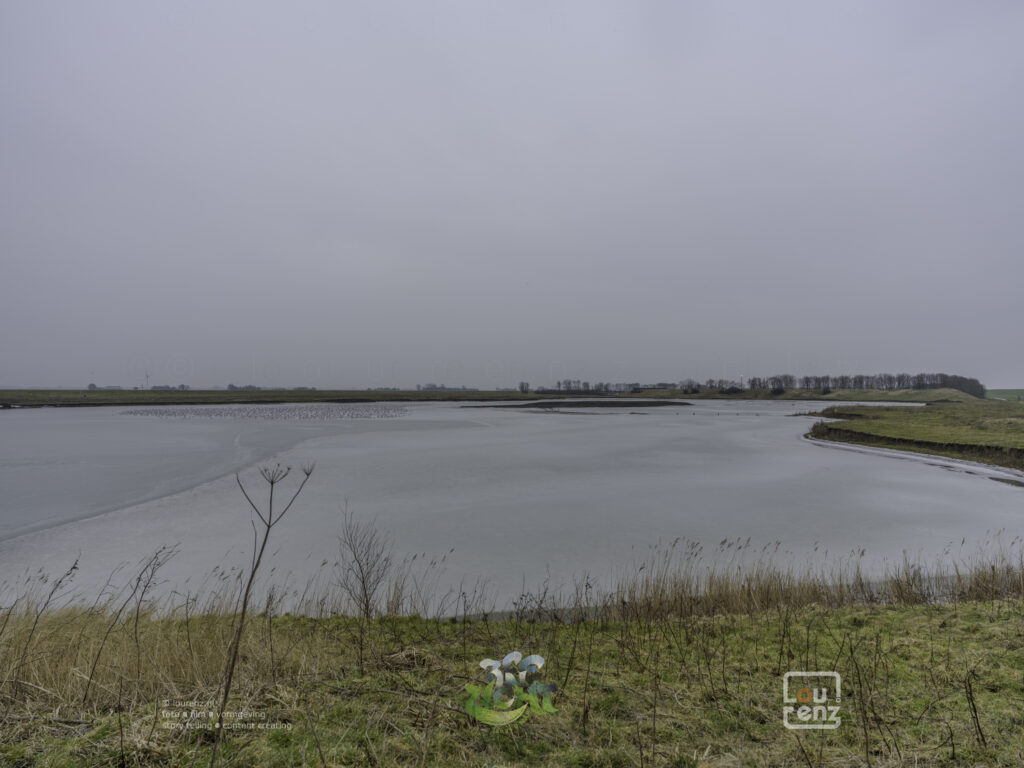 Zee-in-zicht-dag10-fotodoc-lourenz-04