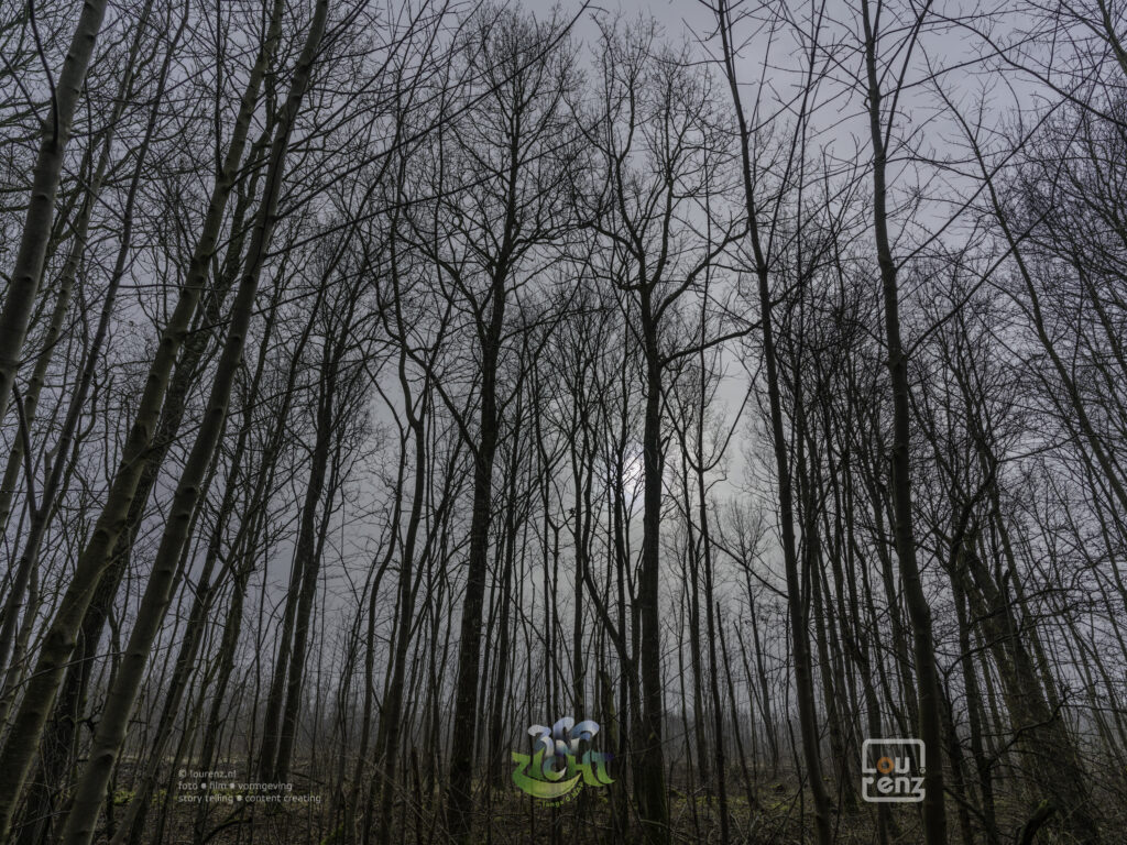 Zee-in-zicht-dag10-fotodoc-lourenz-11