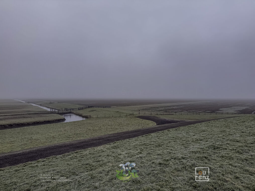 Zee-in-zicht-dag10-fotodoc-lourenz-44