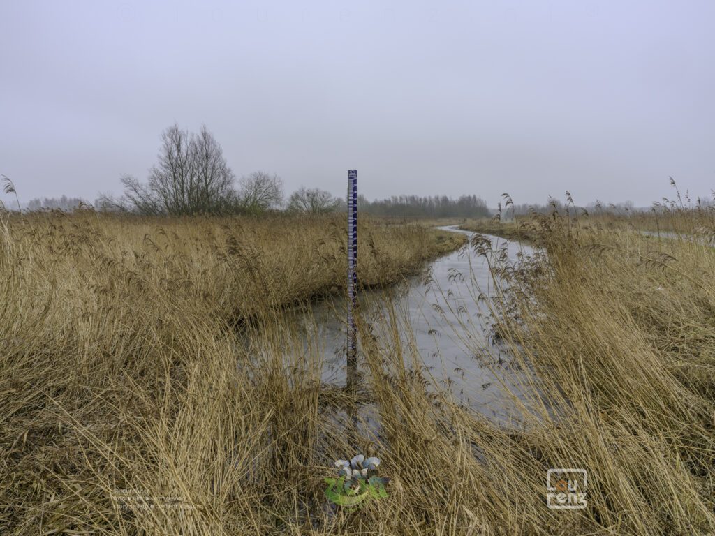 Zee-in-zicht-dag11-fotodoc-lourenz-47