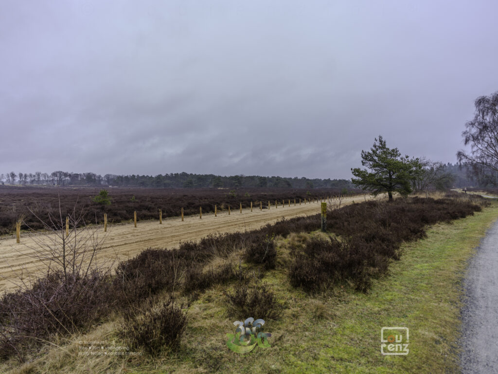 Zee-in-zicht-dag12-fotodoc-lourenz-44