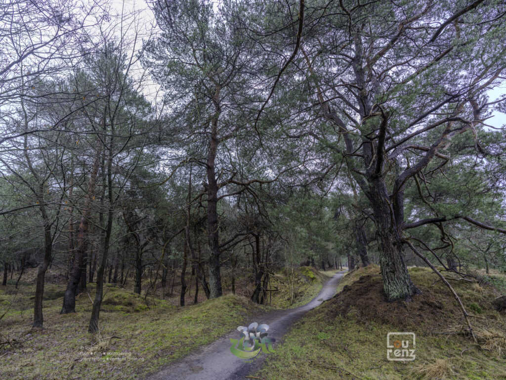 Zee-in-zicht-dag12-fotodoc-lourenz-46