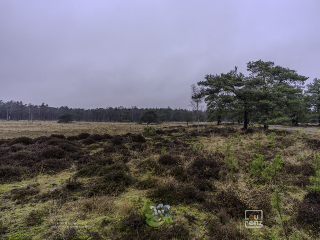 Zee-in-zicht-dag12-fotodoc-lourenz-47