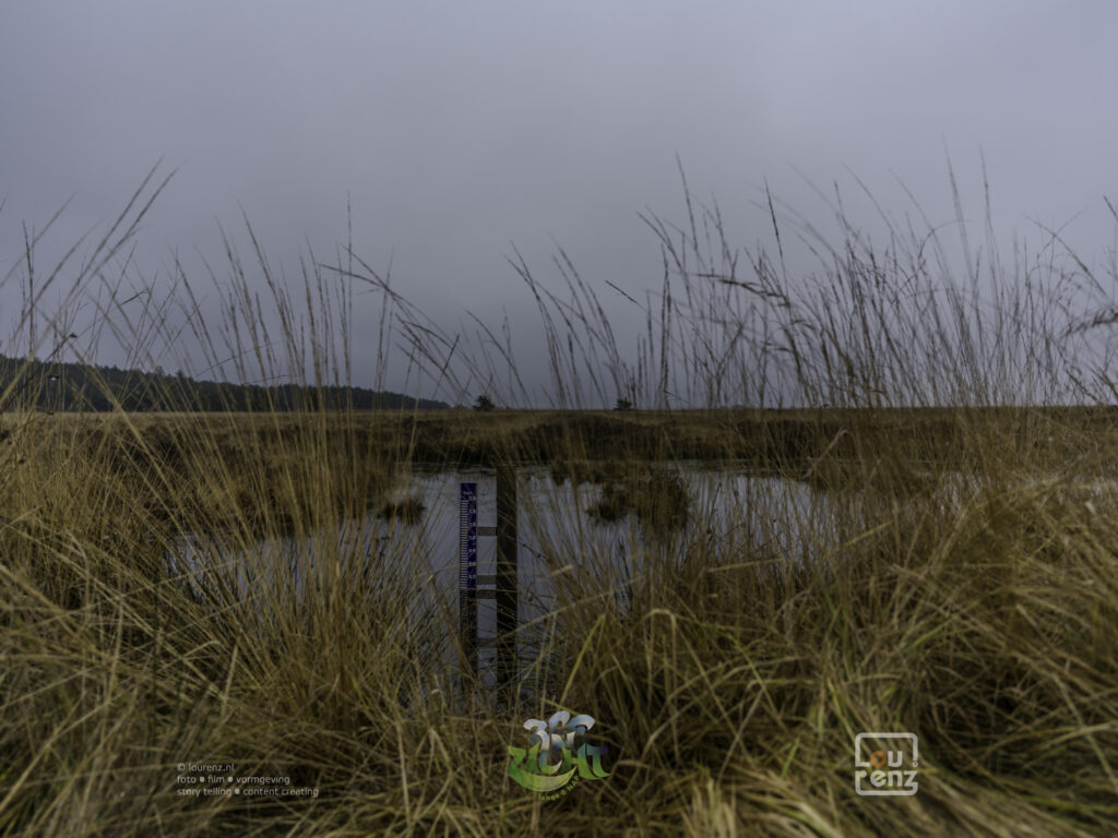 Zee-in-zicht-dag12-fotodoc-lourenz-52