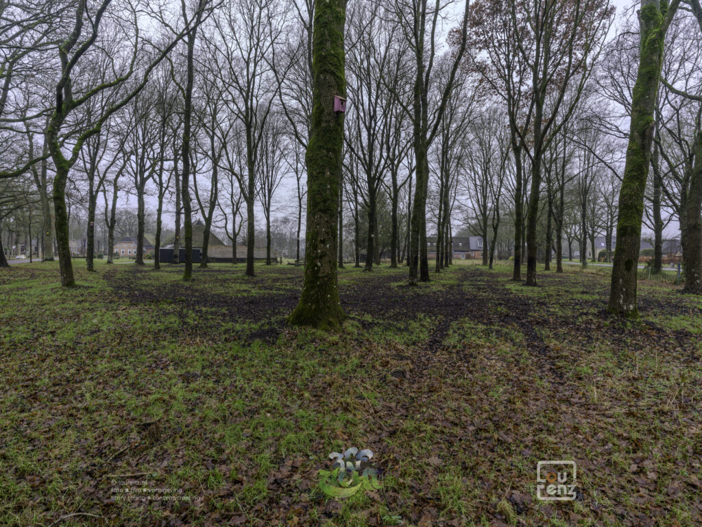 Zee-in-zicht-dag12-fotodoc-lourenz-56