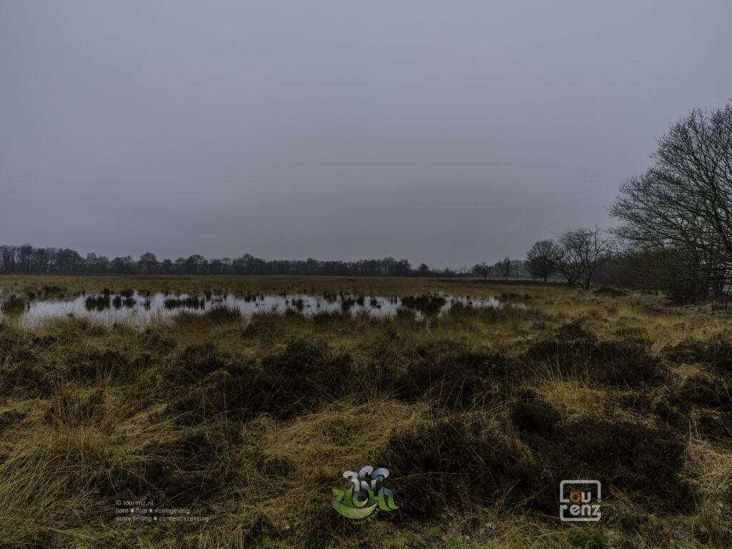 Zee-in-zicht-dag12-fotodoc-lourenz-59