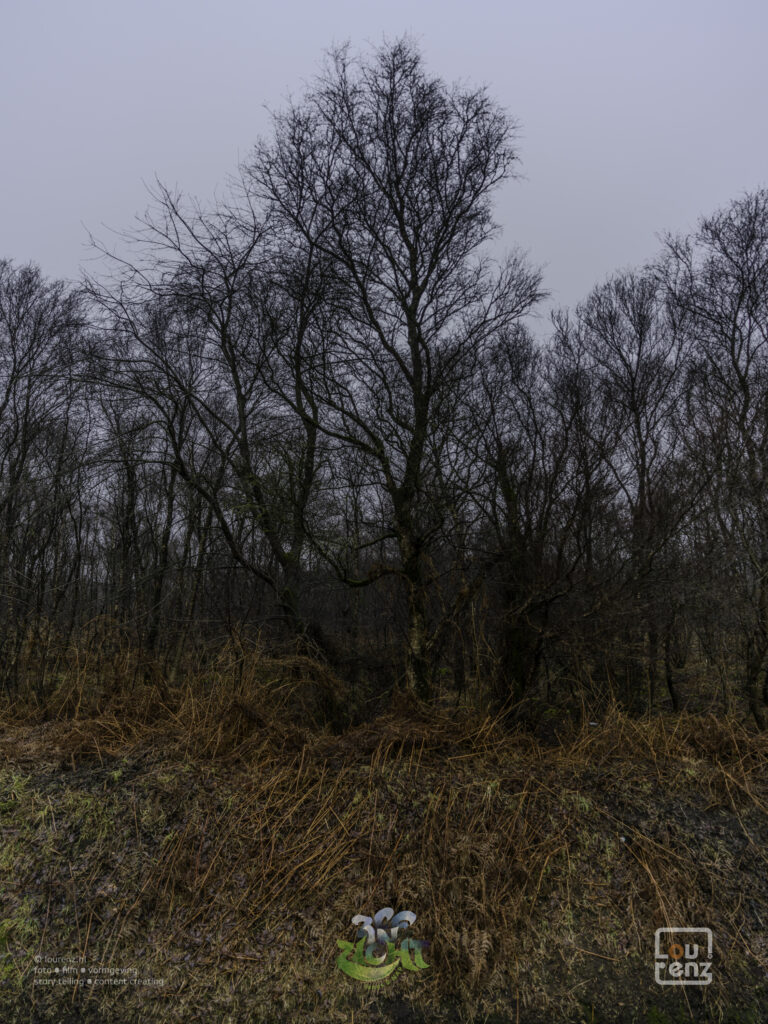 Zee-in-zicht-dag12-fotodoc-lourenz-60