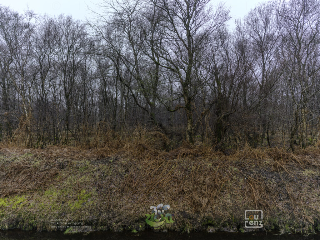 Zee-in-zicht-dag12-fotodoc-lourenz-61