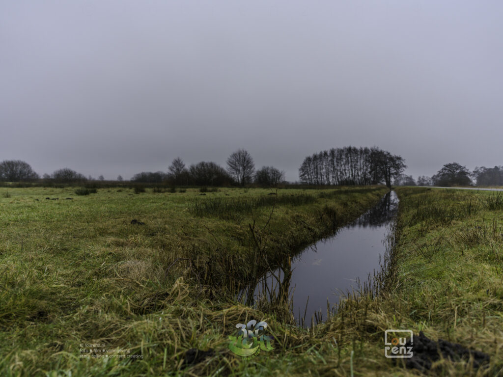 Zee-in-zicht-dag12-fotodoc-lourenz-62