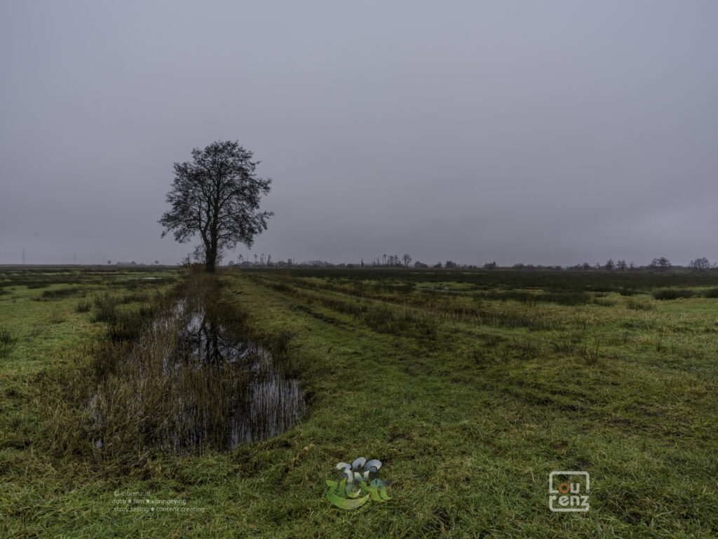 Zee-in-zicht-dag12-fotodoc-lourenz-63