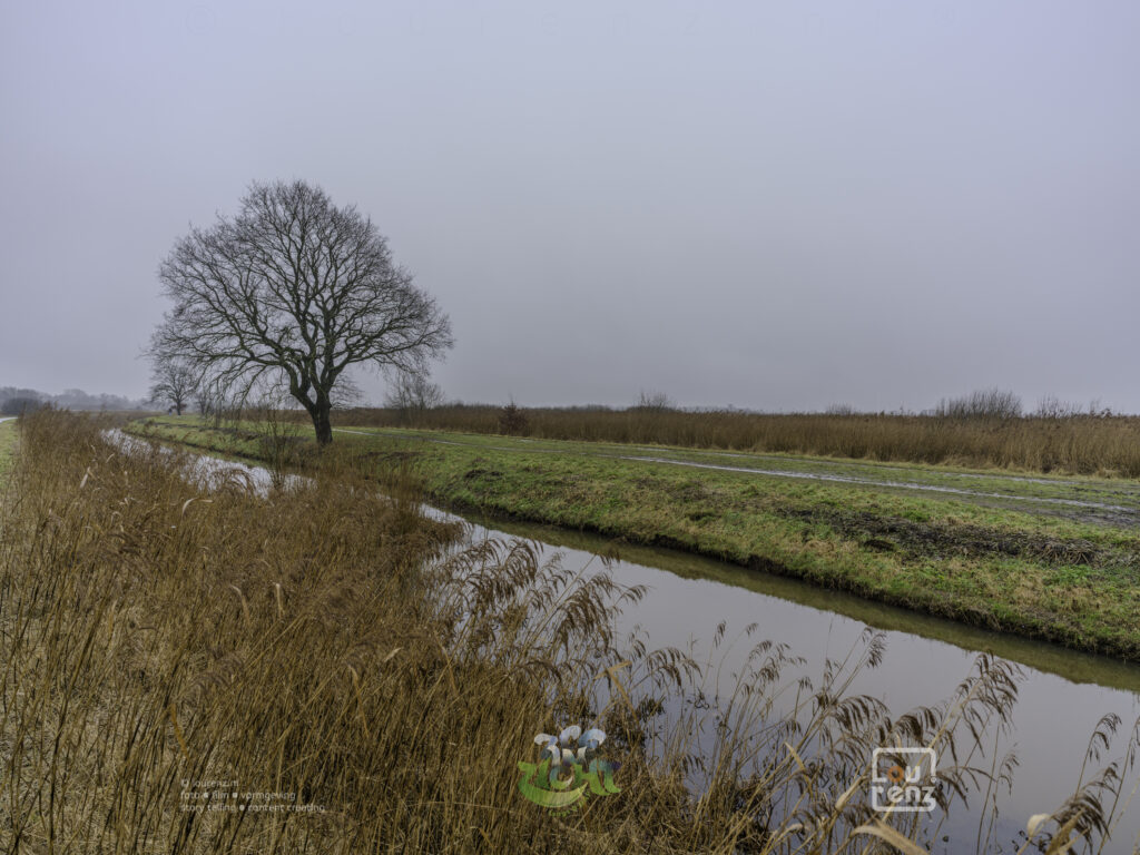 Zee-in-zicht-dag12-fotodoc-lourenz-66