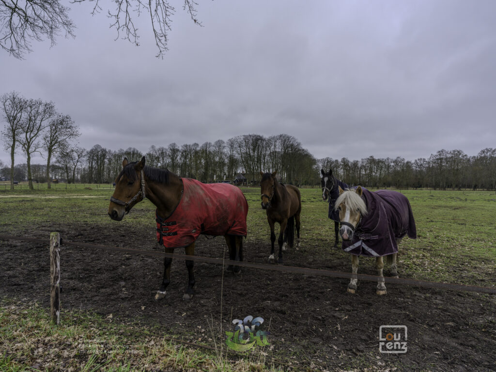 Zee-in-zicht-dag13-fotodoc-lourenz-08