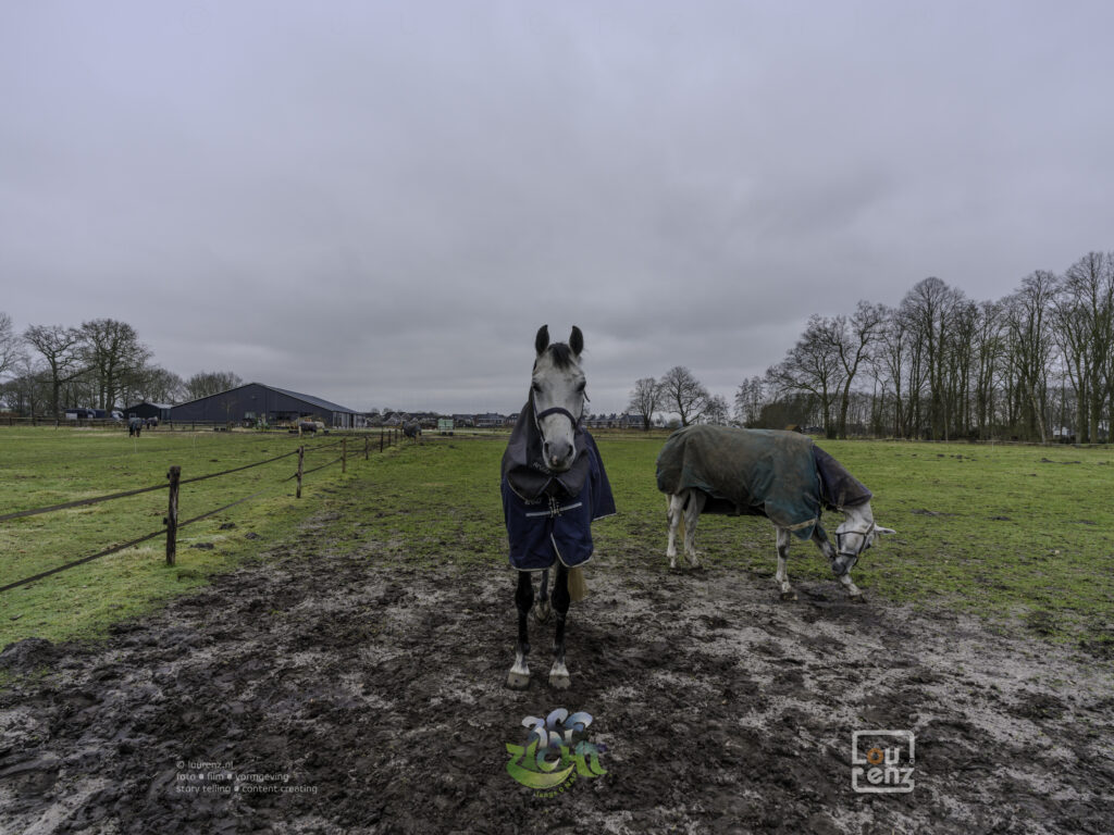 Zee-in-zicht-dag13-fotodoc-lourenz-09