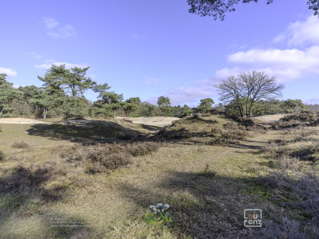 Zee-in-zicht-dag14-fotodoc-lourenz-11