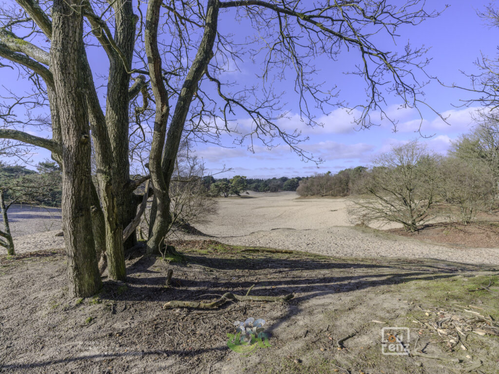 Zee-in-zicht-dag14-fotodoc-lourenz-14