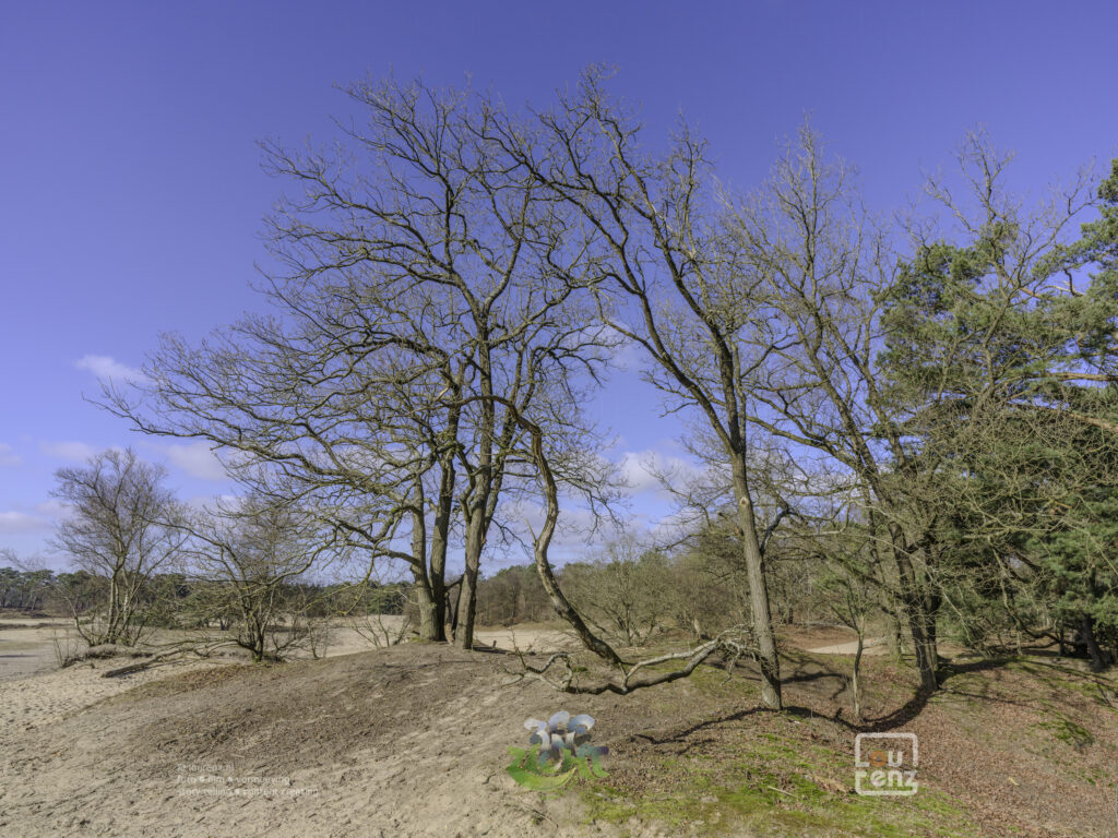 Zee-in-zicht-dag14-fotodoc-lourenz-16