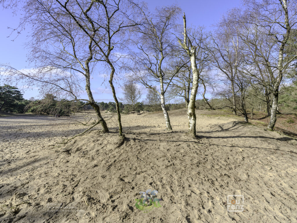 Zee-in-zicht-dag14-fotodoc-lourenz-17