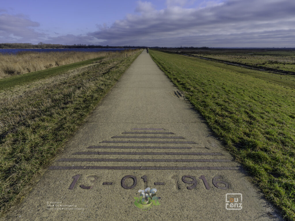 Zee-in-zicht-dag14-fotodoc-lourenz-28