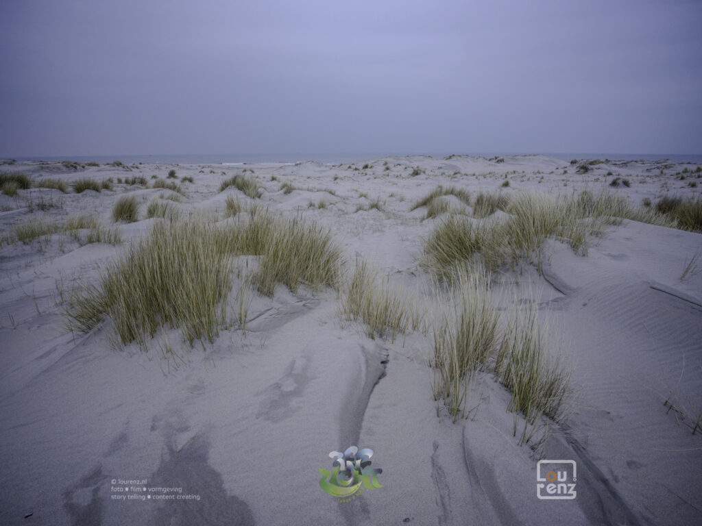 Zee-in-zicht-dag5-fotodoc-lourenz-04