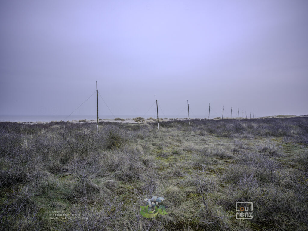 Zee-in-zicht-dag5-fotodoc-lourenz-05