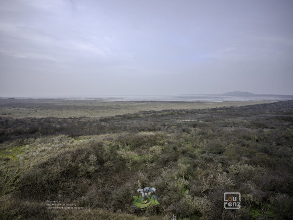 Zee-in-zicht-dag5-fotodoc-lourenz-22