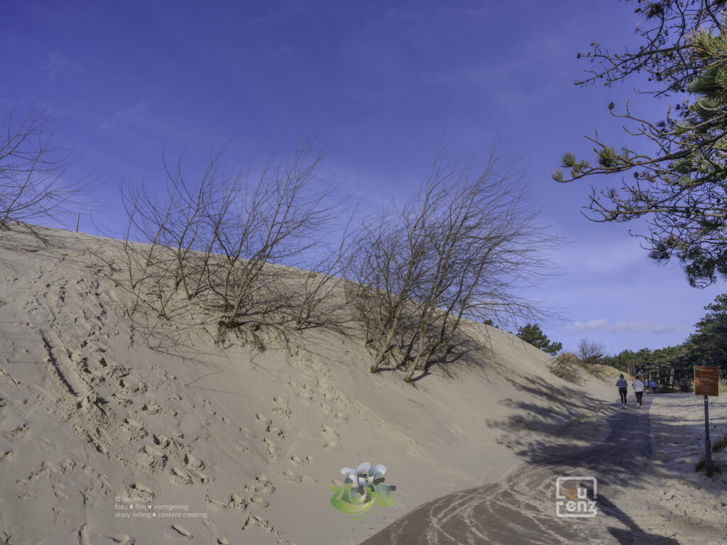 Zee-in-zicht-dag8-fotodoc-lourenz-29