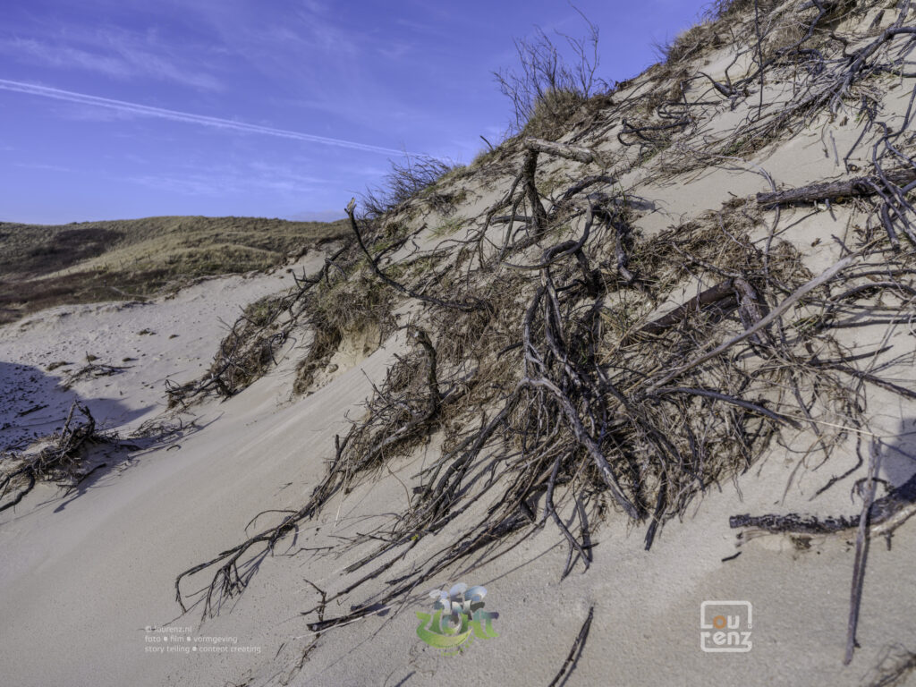 Zee-in-zicht-dag8-fotodoc-lourenz-31