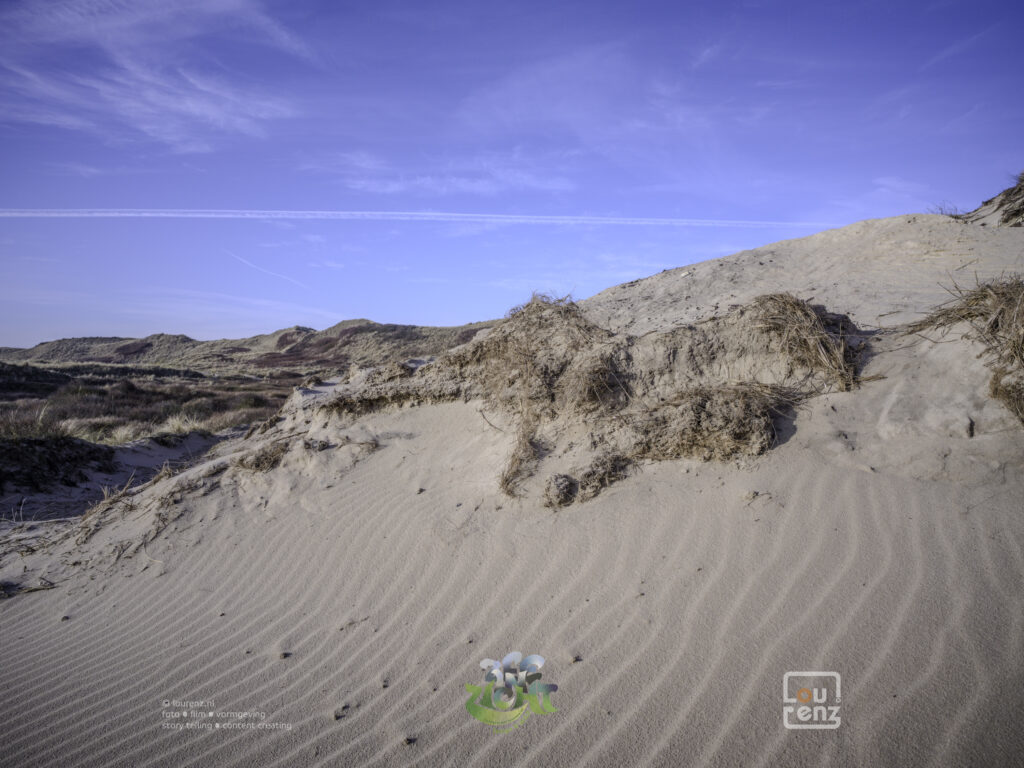 Zee-in-zicht-dag8-fotodoc-lourenz-32