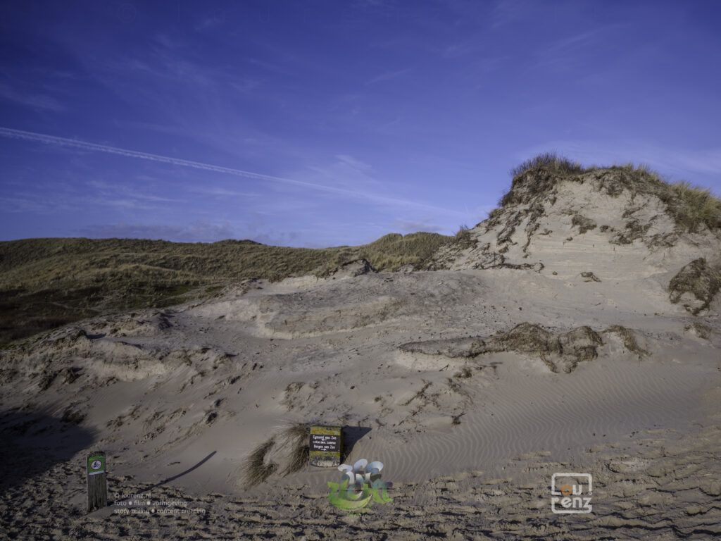 Zee-in-zicht-dag8-fotodoc-lourenz-33