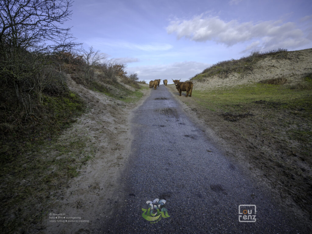 Zee-in-zicht-dag8-fotodoc-lourenz-34