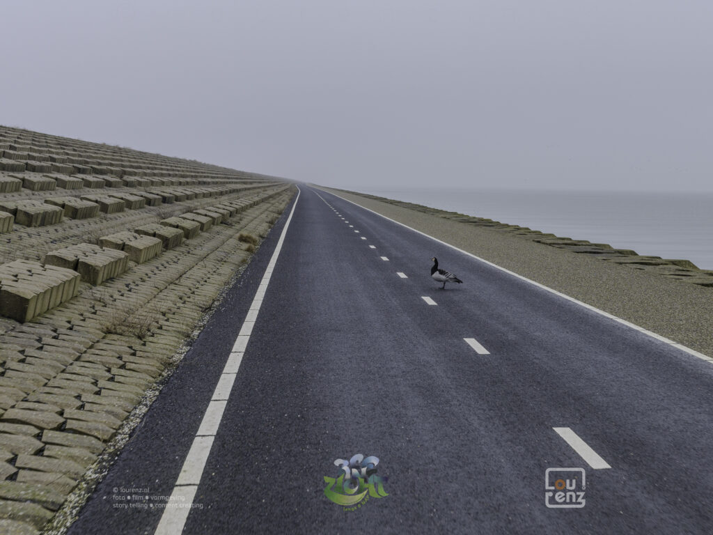 Zee-in-zicht-dag9-fotodoc-lourenz-23