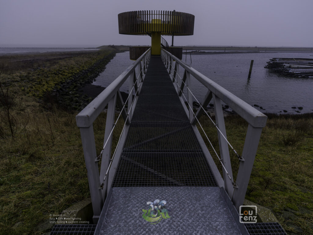 Zee-in-zicht-dag9-fotodoc-lourenz-30