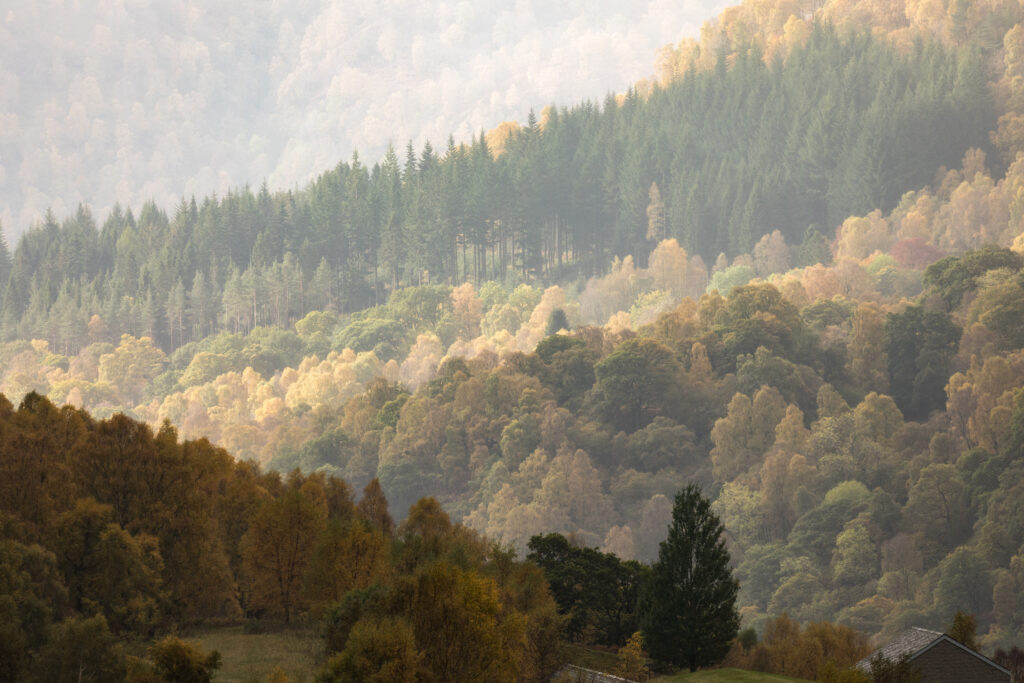 uitvaartfotograaf voor dierbare herinneringen